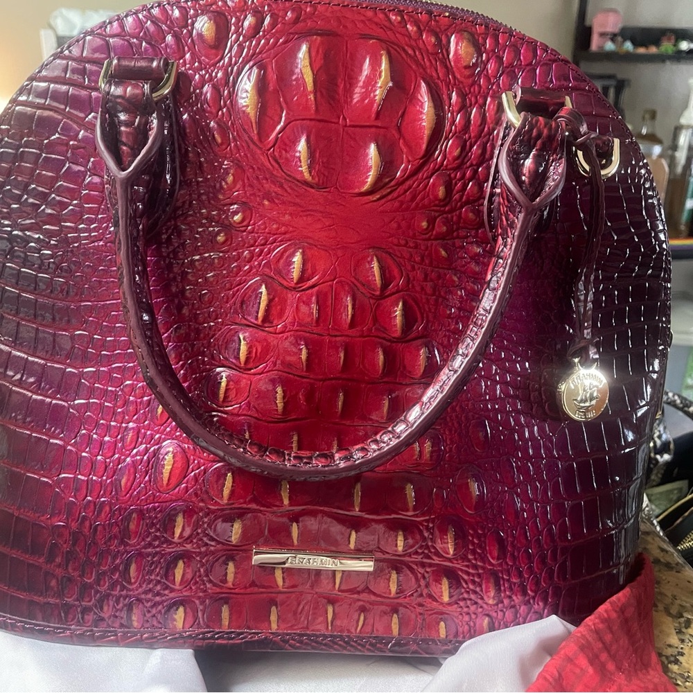Brahmin New